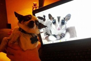 Смешные картинки