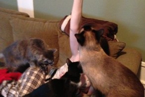 Фото онлайн