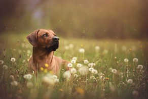 Фотоподборка за 23.06.2015