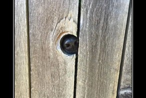 Подборка демотиваторов 