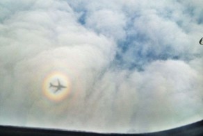 Шикарное фото