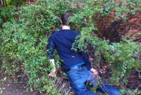 Шикарное фото