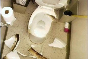 Страшный порез в общественном туалете