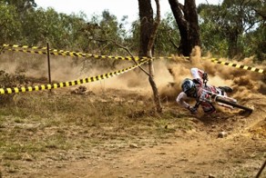 Смешные картинки