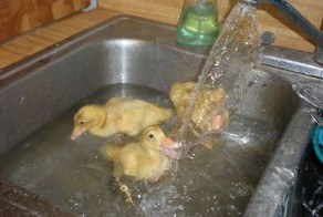 Зачетное фото