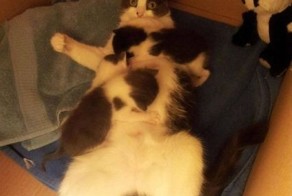 Фотоприкол дня