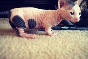 Прекрасные фото