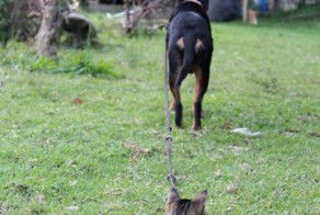 Фото прикол