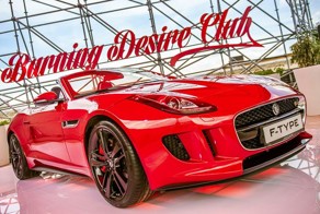 Российская премьера спорт-купе Jaguar F-Type (29 фото)