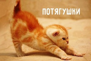Самое время для потягушек