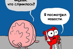 Сердце и разум