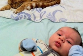 Прикольные фото и картинки от zubrilov за 04.06.2013 №157896