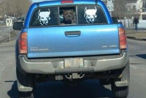 Прикольные фото и картинки от zubrilov за 04.06.2013 №157898