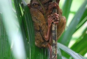 Улетное фото