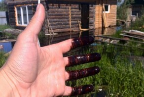 Нефтеюганск затопило нефтью