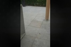 Потайной пивной холодильник на дачном участке