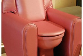10 самых удивительных унитазов со всего мира