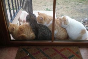 Фотоальбом