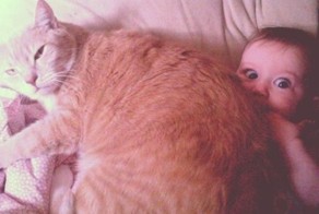 Прикольные фото и картинки от zubrilov за 05.06.2013 №158098