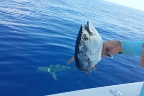 Фотоподборка за 30.06.2015