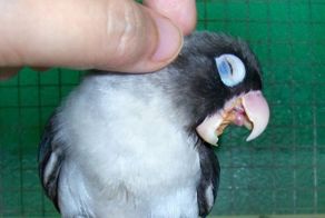 Смешные картинки