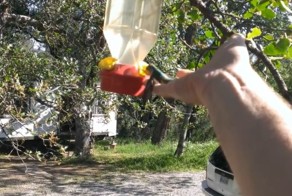 Мужчина спас колибри и вернул ее к жизни