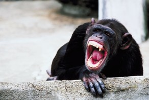 24 гримасы, прекрасно демонстрирующие жизнь женщин в критические дни