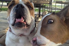 Фотоподборка