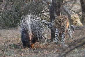 Фотоподборка за 02.07.2015