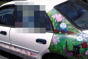 Необычный способ украсить свой автомобиль (3 фото)