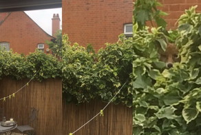 Фотоподборка за 03.07.2015