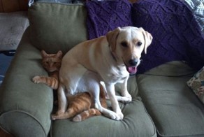 Пикантный фотоприкол