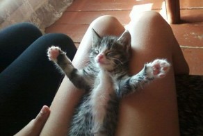 Фотоподборка