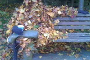 Улетное фото