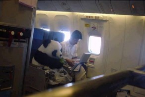 Прикольные фото и картинки от zubrilov за 13.06.2013 №158655