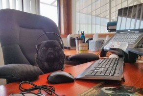 Фотоподборка