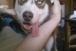 Прикольные фото и картинки от zubrilov за 13.06.2013 №158683