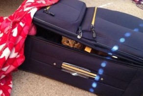 Зачетное фото