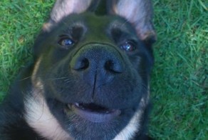 Прекрасные фото