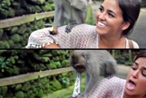 Новый фотоприкол