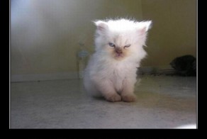 Подборка демотиваторов 