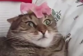 Лучшие неудачи прошедшей недели 