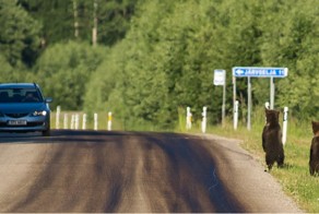 Фотоподборка за 07.07.2015