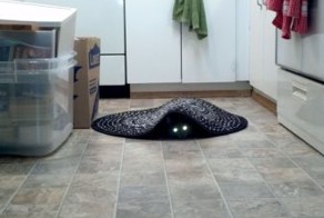 Прекрасные фото