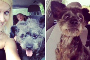 Женщина забрала из приюта умирающего пса, чтобы сделать его последние дни счастливыми