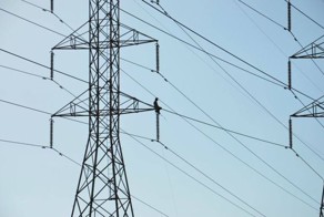 Фотоприкол