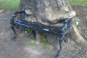 Новый фотоприкол