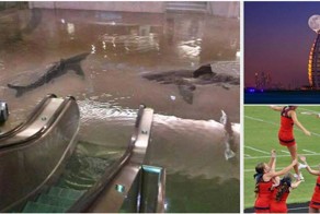 20 популярных фотографий, которые оказались фейком 