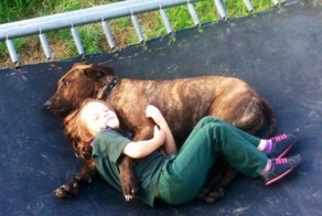 Смешные картинки