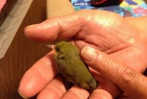 Фотоприкол дня